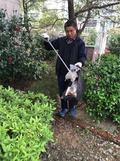 �����󺦡�Ԥ������������Э����������